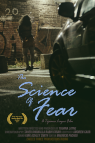 The Science of Fear Poster - the poster features a women dressed as a prostitute with her back to us in a dark alley full of graffiti being watched from a car behind her